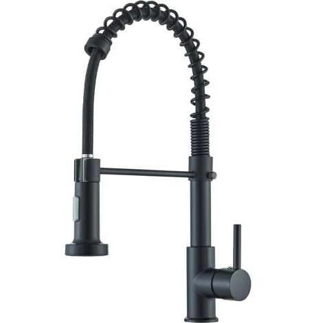 Robinet Cuisine Noir Pivotant à 360° Mitigeur 2 Modes de Pulvérisation Robinet d'Évier à Arc Élevé Pulvérisateur Escamotable en Laiton