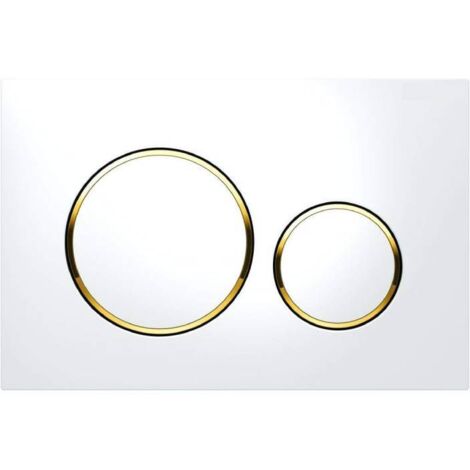 Plaque d'actionnement pour double chasse d'eau Geberit Sigma20 : blanc, or (115.882.KK.1) (1/4)