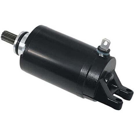 Moteur de Démarreur Triumph Tiger 800 & 675 - Pièces de Rechange T1311112, T1314455, T1310060 - Compatible avec les Moteurs Triple 800cc et 675cc