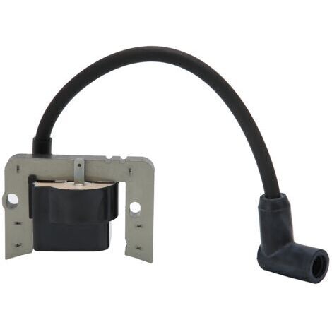 Bobine d'allumage pour moteur de tondeuse compatible Tecumseh 36344A 37137 36344 - (1/5)