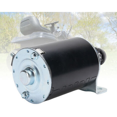 Démarreur de Tondeuse 390838 497401 499521 499529 16 Dents Moteur de Démarrage (1/5)