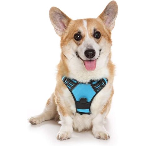 Harnais Chien M Arnais Bleu Clair Anti Traction Réfléchissant Gilet Réglable pour Chien, Attache Devant Crochet de Laisse pour Randonné Trajet Voiture, Bouledogue Français, Berger Australien-Ensoleill (1/5)
