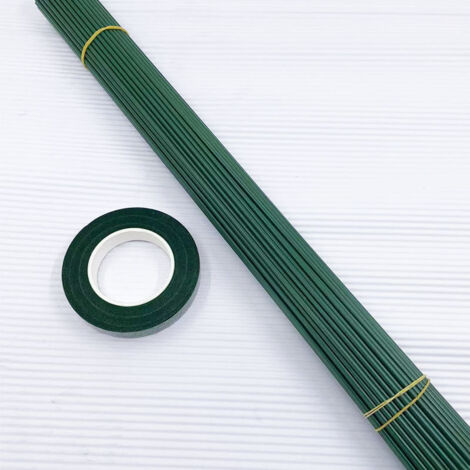 Lot de 50 tuteurs en bambou (40 cm) — Comprend 2 rouleaux de liens assortis  idéal pour la maison, le jardinage et les plantes grimpantes.