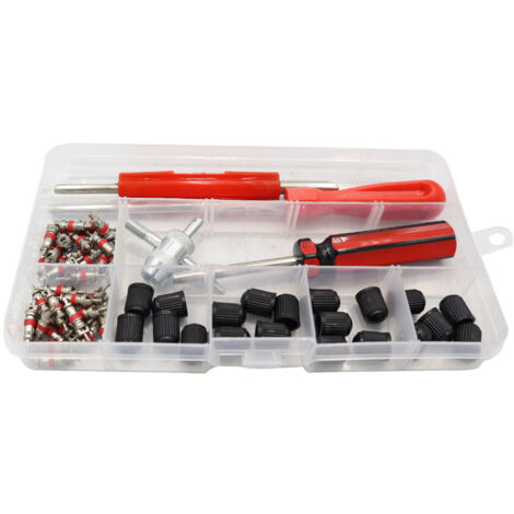Kit de réparation de valves de pneu : 40 obus de valve, outil d'extraction d'obus à tête simple, outil 4-en-1, outil pour valves à double tête.