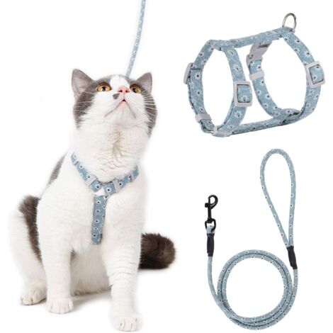 Harnais Chat Réglable Harnais Laisse (Bleu-Vert S) pour Chat Petit Chien en Nylon avec Laisse Résistant à la Sécurité Harnais Veste pour Chiot Chaton des Petits Animaux de Compagnie (1/4)