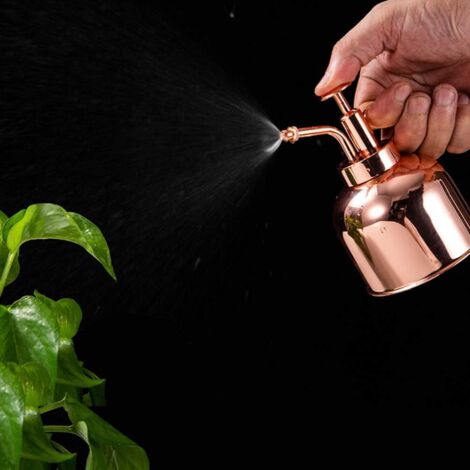 300 ml Petit arrosoir en acier inoxydable Vaporisateur de fleurs Pulvérisateur de fleurs Pulvérisateur de plantes à pompe supérieure Pulvérisateur à main Vaporisateur d'eau pour plantes d'intérieur Pl (1/5)