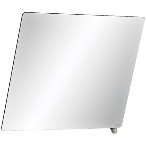 Miroir à pince Delabie 600x500 mm, poignée polie haute brillance (1/3)