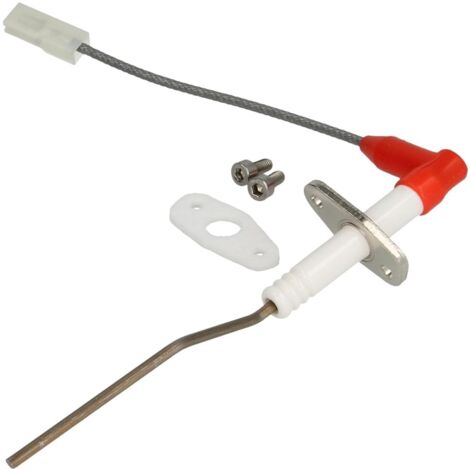 Electrode d'ionisation isolée
