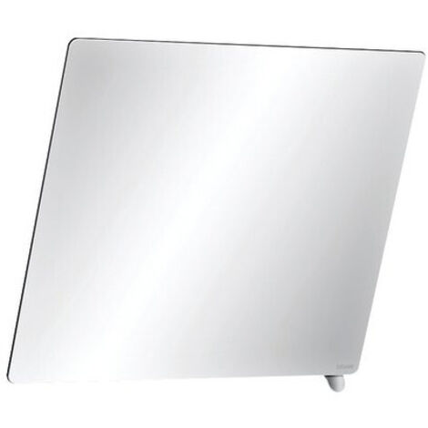 Miroir - Delabie - Inclinable 20°c avec poignée - 500X600 mm (1/2)