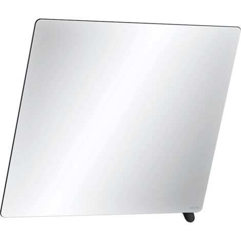 Miroir à poser Delabie 600x500 mm, poignée noire mate (1/2)