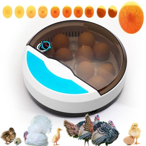 Automatischer Eier-Inkubator – Brutkasten für 9 Eier, Hühnereier mit Temperaturregelung – Ideal für Geflügel, Wachteln, Gänse (1/5)