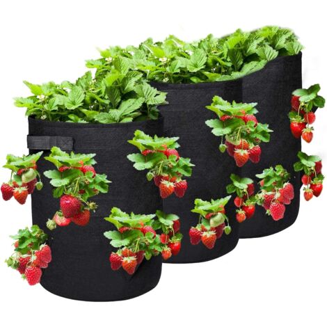 CSPARKV 3 wasserdichte Garten-Pflanzbeutel, Pflanzbeutel, Vlies-Textil-Pflanzbeutel für Erdbeeren/Blumen/Tomaten, atmungsaktiv, luftdurchlässig, 10 Garon mit Griffen und Fenster, 35 x 35 x 43 cm (1/5)