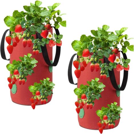 (20 x 35 cm) (rot) 2 Stück hängende Erdbeer-Pflanzbeutel aus Vliesstoff mit 12 Löchern, Pflanzbeutel für Erdbeeren, Kräuter, Blumen (1/5)