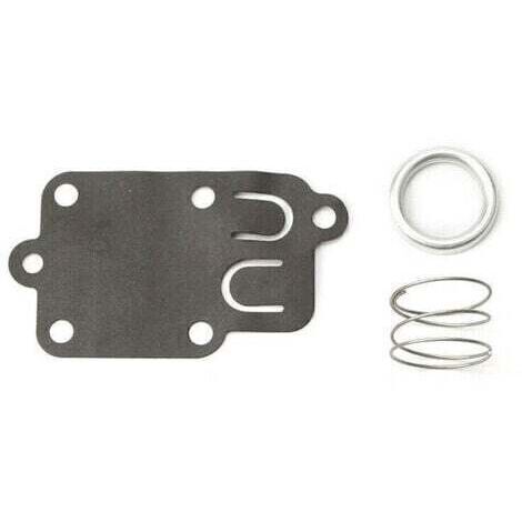 Membrane carburateur Briggs et Stratton (1/4)