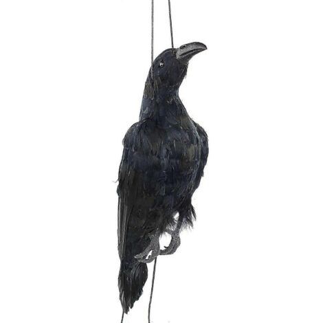 Corbeau mort suspendu réaliste, taille réelle extra large, à plumes noires (1/5)
