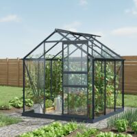 Serre en verre 3,5m2 aluminium anthracite 4mm avec embase en acier galvanisé – Hauteur 200 cm – Ventilation lucarne incluse – Green Protect