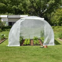 Serre Tunnel 3x3m BIANCA PE Armé Transparente - Green Protect