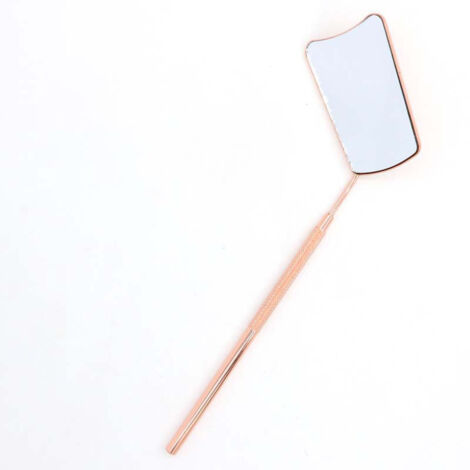 Miroir de Cils en acier inoxydable amovible Miroir de Maquillage Beauté Extensions de Cils Accessoires Extensions de cils Miroir multifunction long poignée loupe Vérification miroir(or rose)