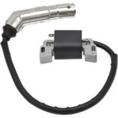 Bobine d'allumage et rotor magnéto-électrique de remplacement pour moteur Briggs & Stratton 592841 799650 595304 795315 21A807 21A877 21A902 21A907 21A907 21A907