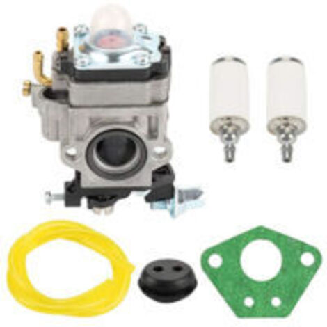 Ensemble carburateur S-giant 300486 11334 43C C 2 temps - avec tuyau d'huile et joint