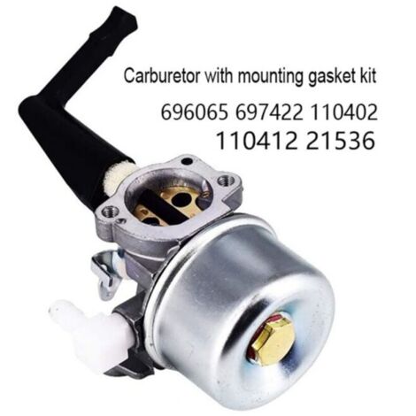 Carburateur pour motoculteur 696065 697422 110402 215369