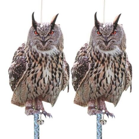 Lot de 2 Effaroucheur Oiseaux avec Bande Repulsive Anti Pigeon Répulsif Oiseaux, Carton Epouvantai Effrayeur D'oiseaux,Hiboux