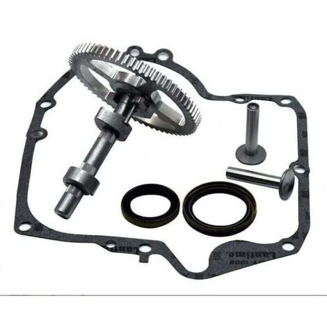 Arbre à cames Briggs & Stratton 793880 793583 792681 791942 795102 Kit de remplacement de came avec joint d'huile 795387 et joints de carter Ruikalucky 697110