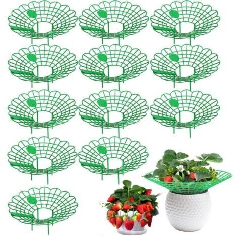 Ensemble de 12 pièces (vert) support à fraises, support pour fraisiers, petites fraises matures, support pour plantes en filet de fraises de balcon, protège les fraises (1/3)
