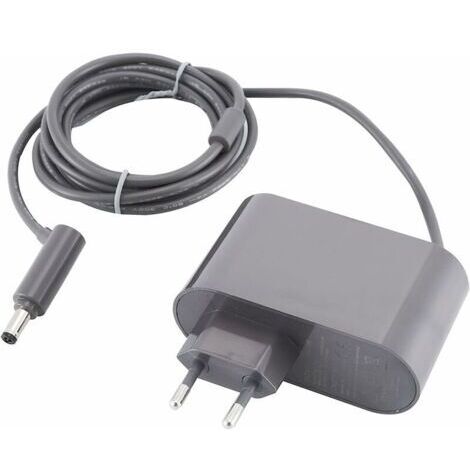 Chargeur pour Dyson V6 V7 V8, adaptateur aspirateur, chargeur rapide 0,8A (1/3)