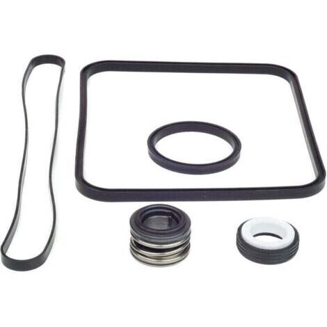 Joint de rechange pour pompe Super Pump pour kit Hayward Go tible avec les modèles SP1600, SP2600 Regular, X, VSP. SPX1600TRA SP1600Z2 PS-201 SPX1600R SPX160 0S SPX1 600T Piscine