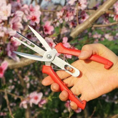 Ciseaux à éclaircir les fruits et les fleurs à double port, sécateur de jardin Ciseaux avec poignée confortable, parfait pour tailler les plantes, herbes hydroponiques, cueillir des fleurs-