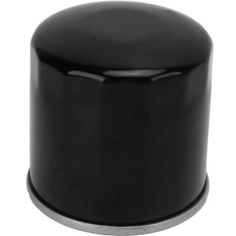 Filtre à huile 2520799, performance Stable, remplacement efficace pour Polaris Sportsman XP 1000 (1/4)