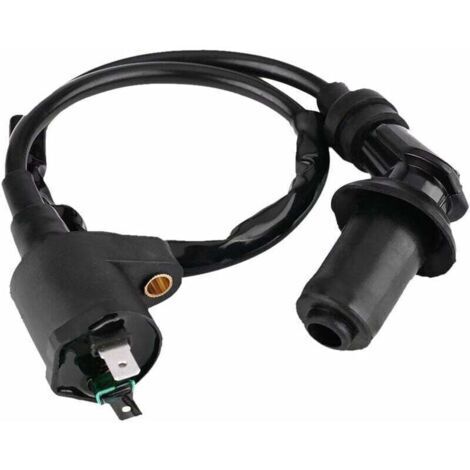 Bobine d'allumage bougie d'allumage moto bobine d'allumage pour Foreman400/450/TRX400FW/TRX450/30410-HC4-770 Scooter moteur cyclomoteur Dirt Bike aller Kart(Noir)