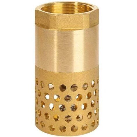 Clapet anti-retour pompe 1 pouce - clapet de pied clapet crepine anti retour (1 pouce)