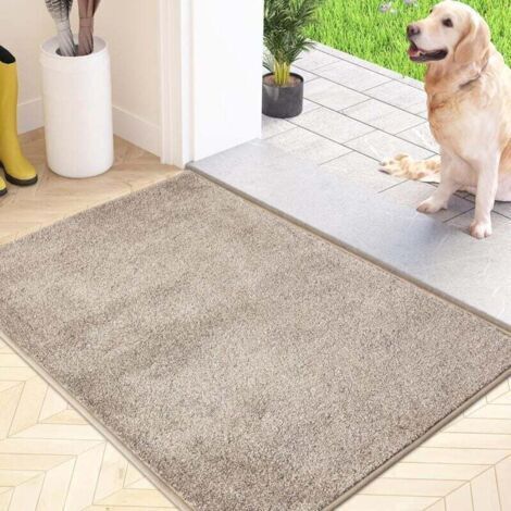 Paillasson Attrape-Poussière, Tapis de Sol Antidérapant Lavable en Machine, Tapis d'Entrée avec Microfibres Douces Absorbantes pour Chien, Entrée, Porte et Couloir, Beige, 60 x 90 cm