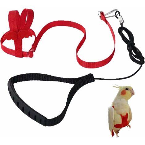 Ceinture de sécurité réglable laisse pour animaux de compagnie corde anti-morsure perroquet perroquet ceinture élastique King Kong (rouge, M)