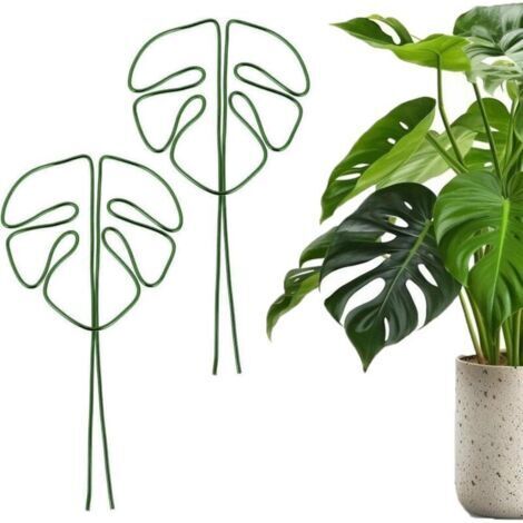 tuteurs pour Monstera avec un design de feuille unique pour plantes d'intérieur, support de tige polyvalent (vert) (1/4)