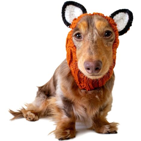 Snood tricoté en forme de renard pour chien avec oreilles - Couvre-cou et tête chaud, accessoire idéal pour l'hiver et Halloween
