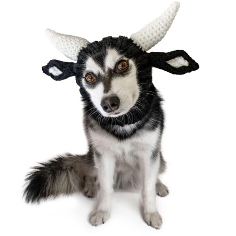 Tour de cou chaud en maille pour chien - Déguisement de taureau - Protection douillette pour le cou et les oreilles, idéal pour Halloween et l'hiver (1/5)