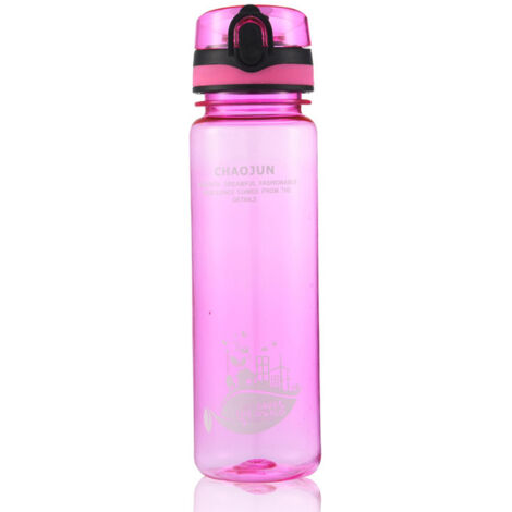Gobelet isotherme portable grande capacité, transparent givré, de 600 ml, idéal pour les activités de plein air et le sport. (1/2)