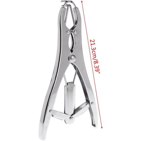 Pince à Castration Pour Animaux - Coupe-queue - En Acier Inoxydable Avec 100 Anneaux En Caoutchouc 55826808