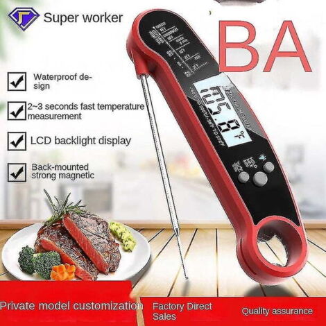 Poêle Portable Pliable Coleman Avec Four Intégré Et Thermomètre - Idéal