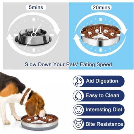 View of Stainless Steel Anti-Eat Dog Bowl, Anti-Eat Bowl with Non-Slip Base ...