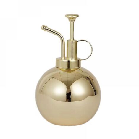 (o) Small Houseplant Watering Can, 500ml Stainless Steel Watering Can, Vintage Hand Sprayer, Garden and Balcony Accessories (1/5)