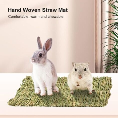 Grass Mat for Rabbits, Grass Mat for Small Animals, Hamster Grass Mat ...