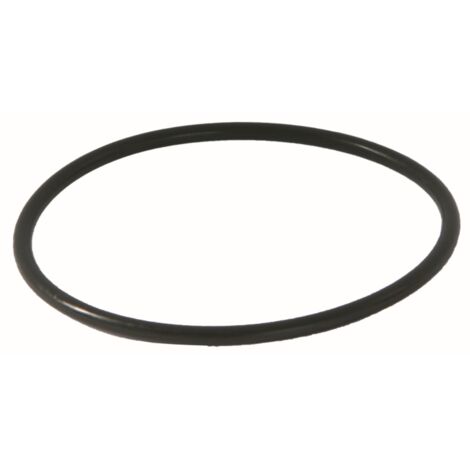 O-Ring Syr für Drufi-Filtertasse