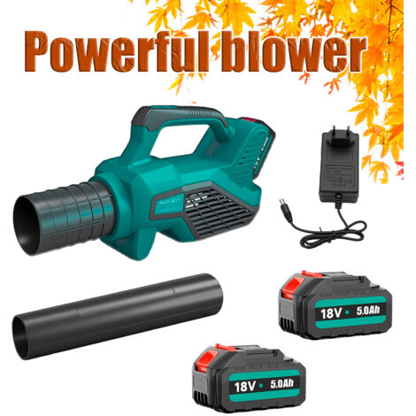 Souffleur de feuilles sans fil avec 2 batteries de 5,0 Ah et chargeur, souffleur léger sans fil de 160 km/h, souffleur de feuilles électrique pour l'entretien de la pelouse, de la terrasse, du jardin,