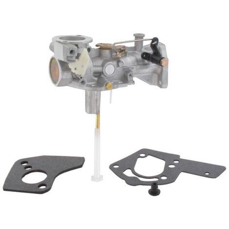 Briggs & Stratton – Carburateur motobineuse 5/6 cv – Compatible modèles 133202, 133212, 133232 – Remplacement pièces usées pour fonctionnement optimal