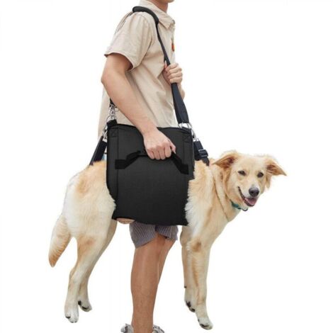 Harnais noir pour chien, taille M, 40 cm de long, avec un harnais de soutien et de rééducation pour les chiens montant et descendant les escaliers. (1/4)