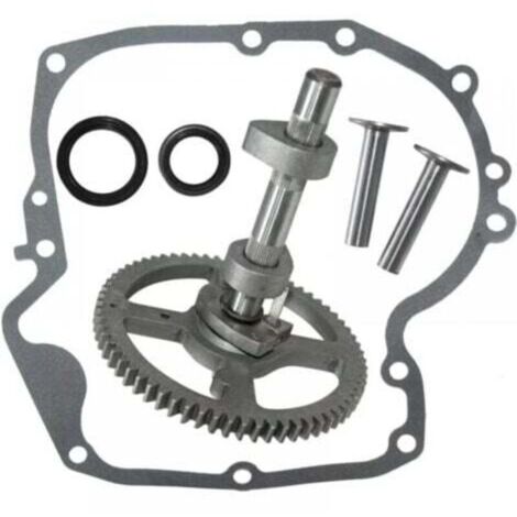 Kit de remplacement d'arbre à cames 793880 793583 792681 791942 795102 (1/4)